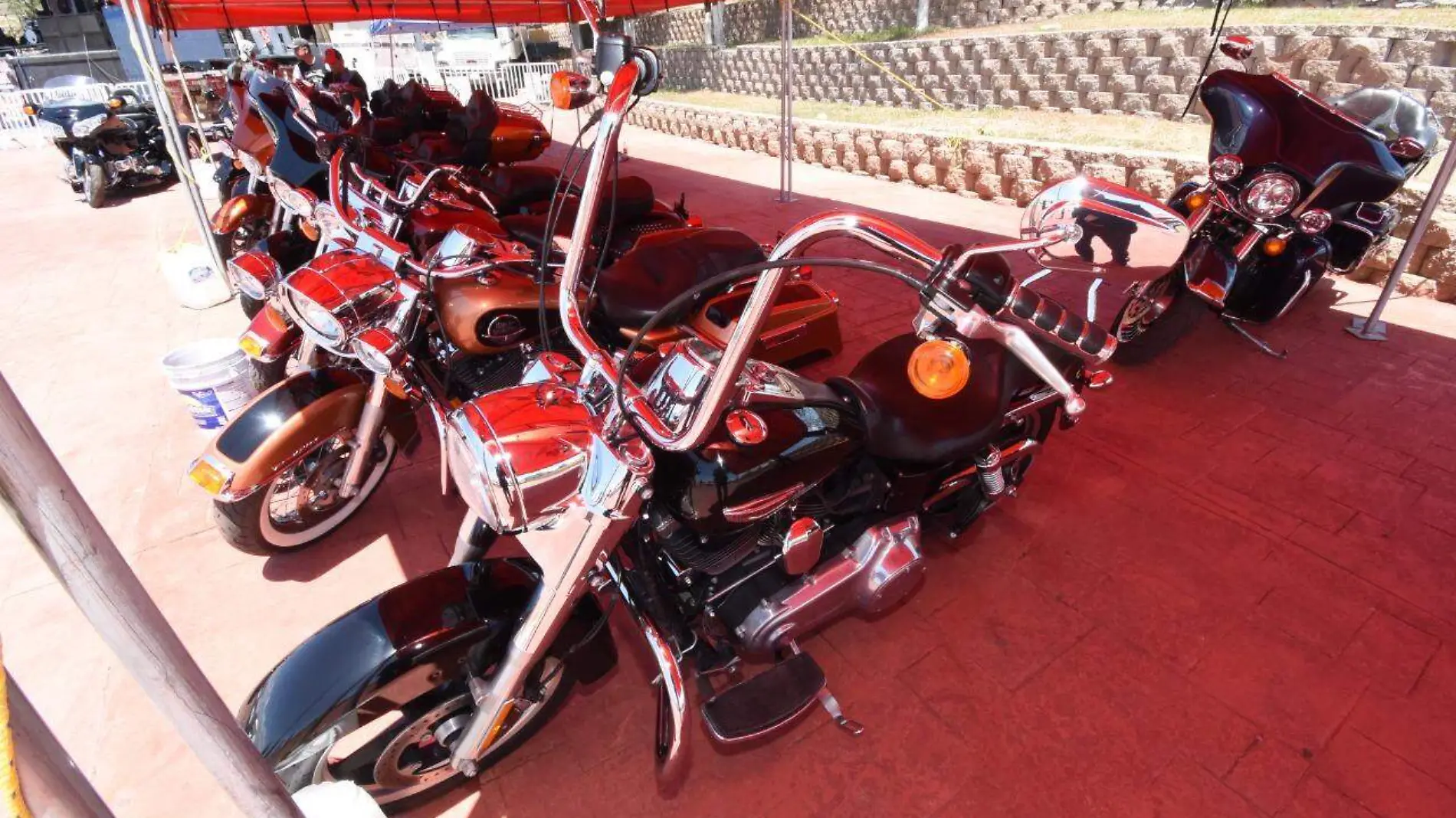 motos harley